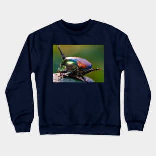 Beetle Yoga. Japanese Scarab Beetle Macro Photograph Crewneck Sweatshirt